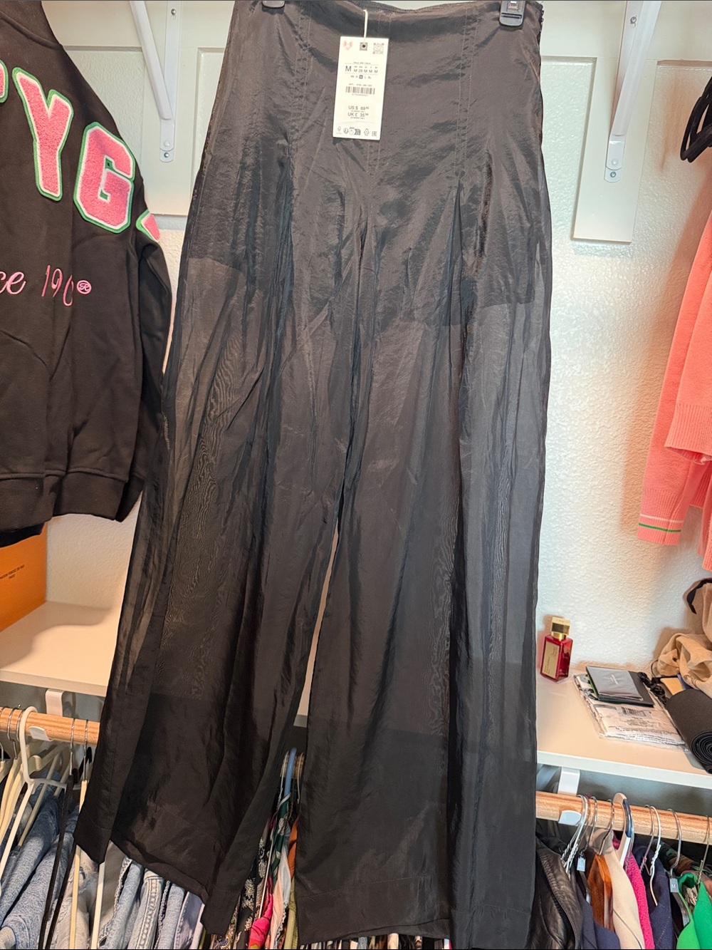Zara Semi Sheer Pants - Picture 3 of 4
